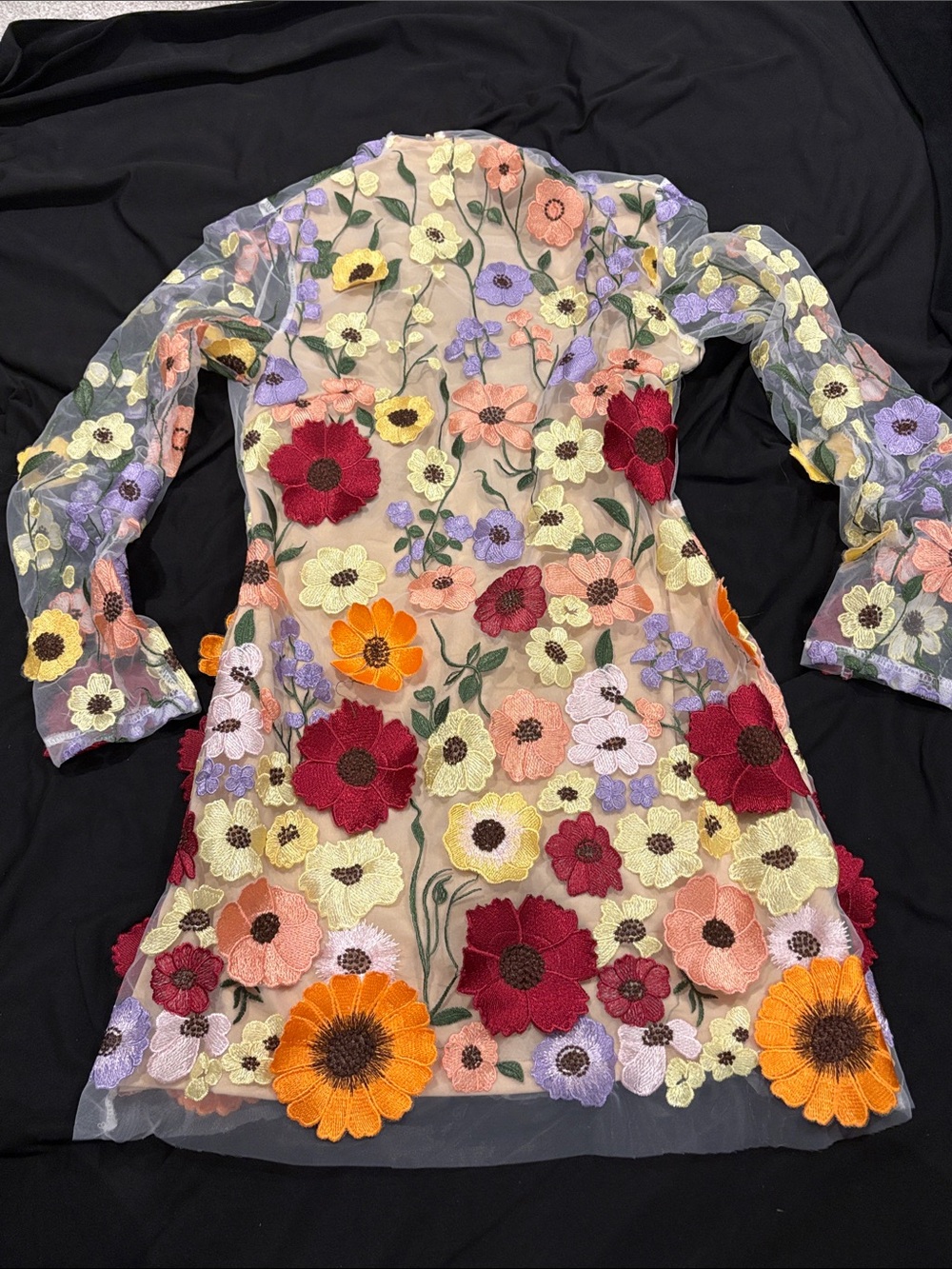 Floral 3-D Embroidered Sheer Mini Dress - Multi